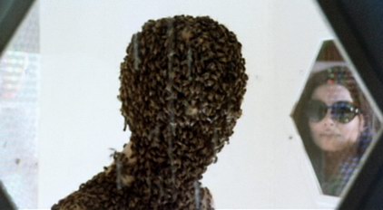 Invasion of the Bee Girls 8