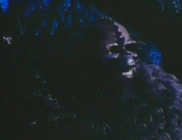 Night Fright 7